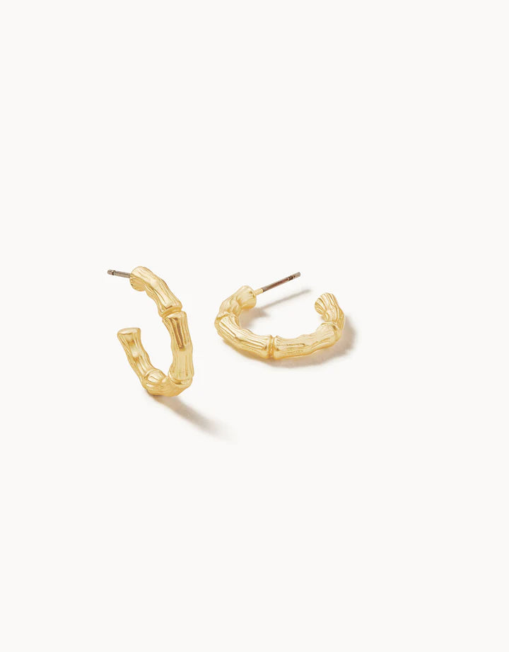 Bamboo hoop earrings gold by Spartina